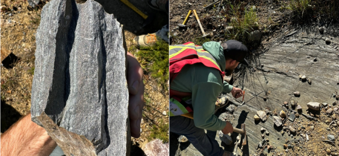 vr-resources-stakes-rambler-gold-project-on-north-lumby-lake-greenstone-belt-in-ontario,-and-submits-drilling-permit