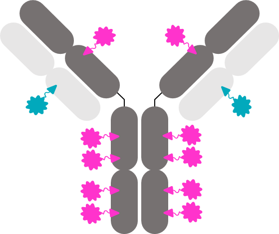 sutro-biopharma-highlights-next-generation-adc-innovation-and-near-term-pipeline-at-research-forum