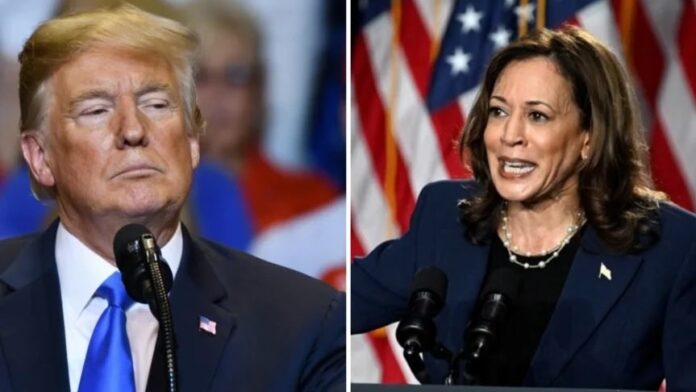 trump,-harris-inspired-cryptos-crack-ahead-of-election-day—coin-parodying-vice-president-still-up-over-50%-this-week