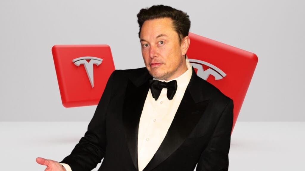 Etsy Seller Rides ‘Anti-Elon’ Merch Boom Among Tesla Owners