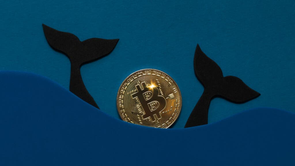 Bitcoin’s Bull Run Gets A Boost From Whale Accumulators, But Retail Still The King In Ownership