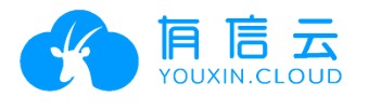 youxin-technology-ltd-announces-closing-of-$10.35-million-initial-public-offering