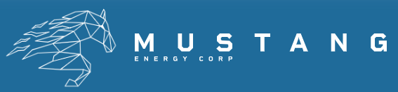 Mustang Energy Corp. Shares 2024 Year-End Recap and Milestone Achievements