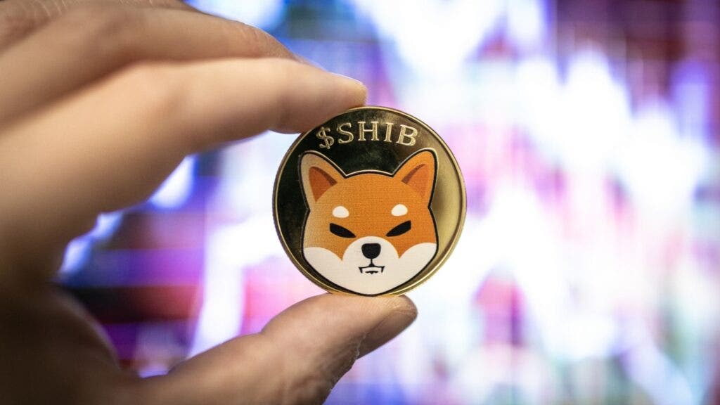 Shiba Inu’s 2,133% Burn Rate Surge Followed by 10% Price Rise: What’s Happening?