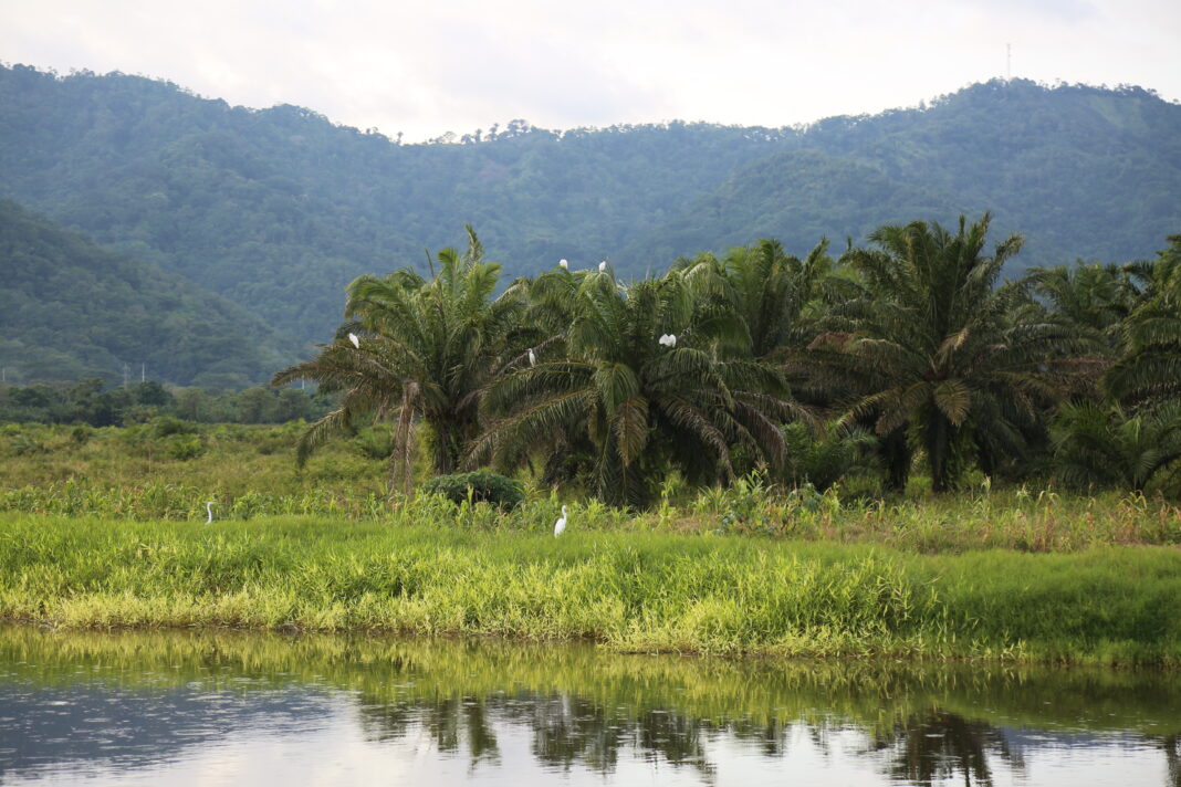Gildan Included in the Dow Jones Sustainability™ Index for the 12th Consecutive Year