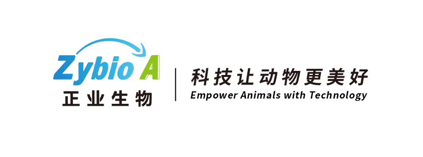 Zhengye Biotechnology Holding Limited Announces Closing of Initial Public Offering