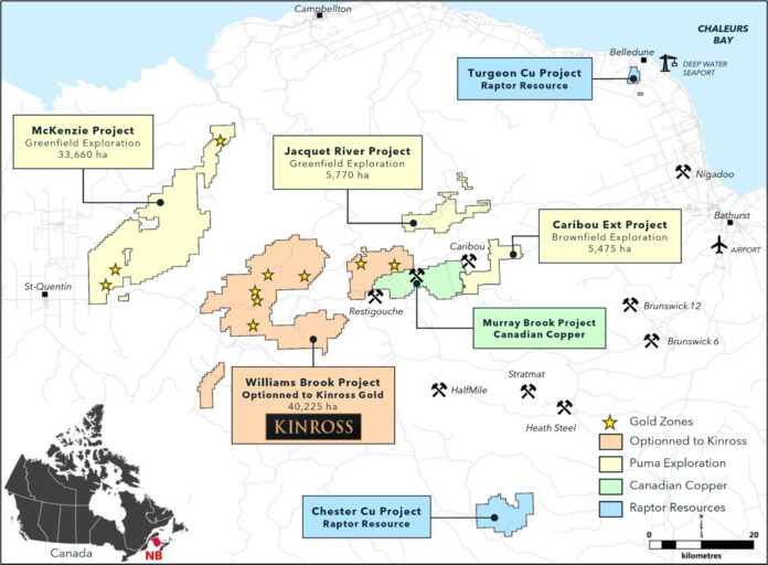 puma-exploration-recaps-its-2024-achievements-and-outlines-its-plans-for-2025