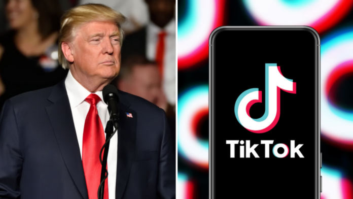 trump-floats-possibility-of-90-day-reprieve-from-tiktok-ban