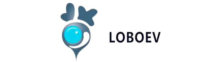 lobo-ev-technologies-ltd.-announces-strategic-collaboration-with-roundtree-lab,-llc-to-manufacture-advanced-e-hospital-beds