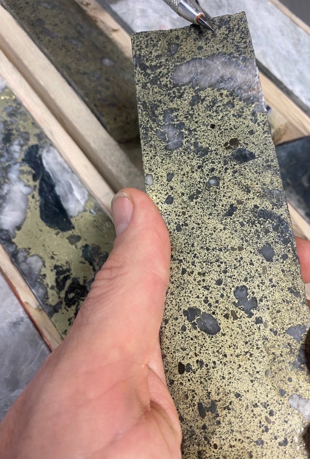 Cygnus’ first drill hole returns up to 9.1% Cu outside Resource