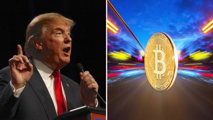 donald-trump-has-‘more-than-50%’-of-net-worth-in-crypto,-will-establish-strategic-bitcoin-reserve,-anthony-pompliano-predicts