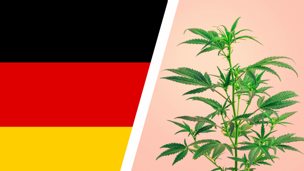Germany’s Medical Cannabis Boom: Prices Drop Below $4.20/Gram, Prescriptions Surge 1,000%