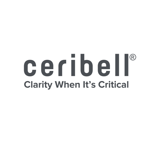 ceribell-to-report-fourth-quarter-and-full-year-2024-financial-results-on-february-25,-2025