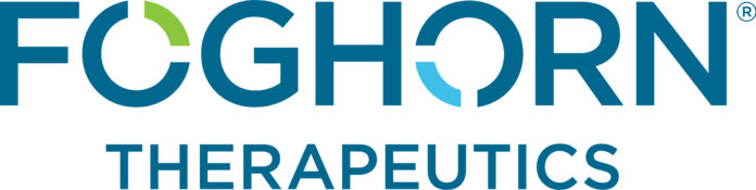 foghorn-therapeutics-provides-financial-update-for-2024-and-2025-strategic-outlook