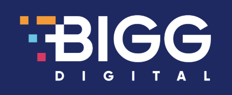 bigg-digital-assets-inc.-reports-audited-financial-results-for-2024