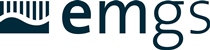 emgs-reports-first-quarter-2025-results