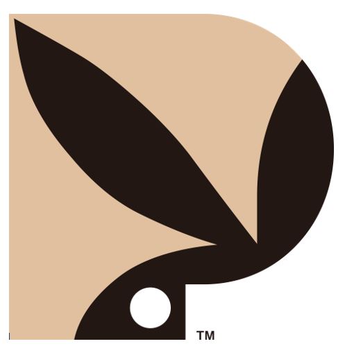plby-group-announces-voting-results-of-2025-annual-meeting-of-stockholders