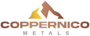 coppernico-metals-announces-the-voting-results-of-its-2025-annual-general-meeting