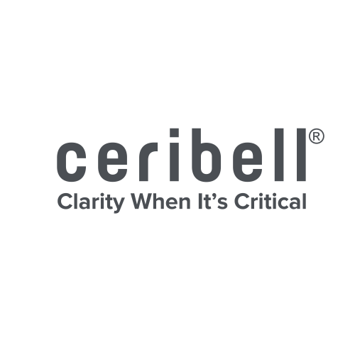Ceribell Reports Second Quarter 2025 Financial Results