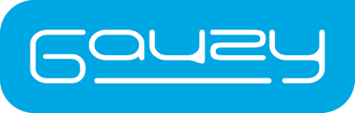 Gauzy Ltd. Announces Second Quarter 2025 Results