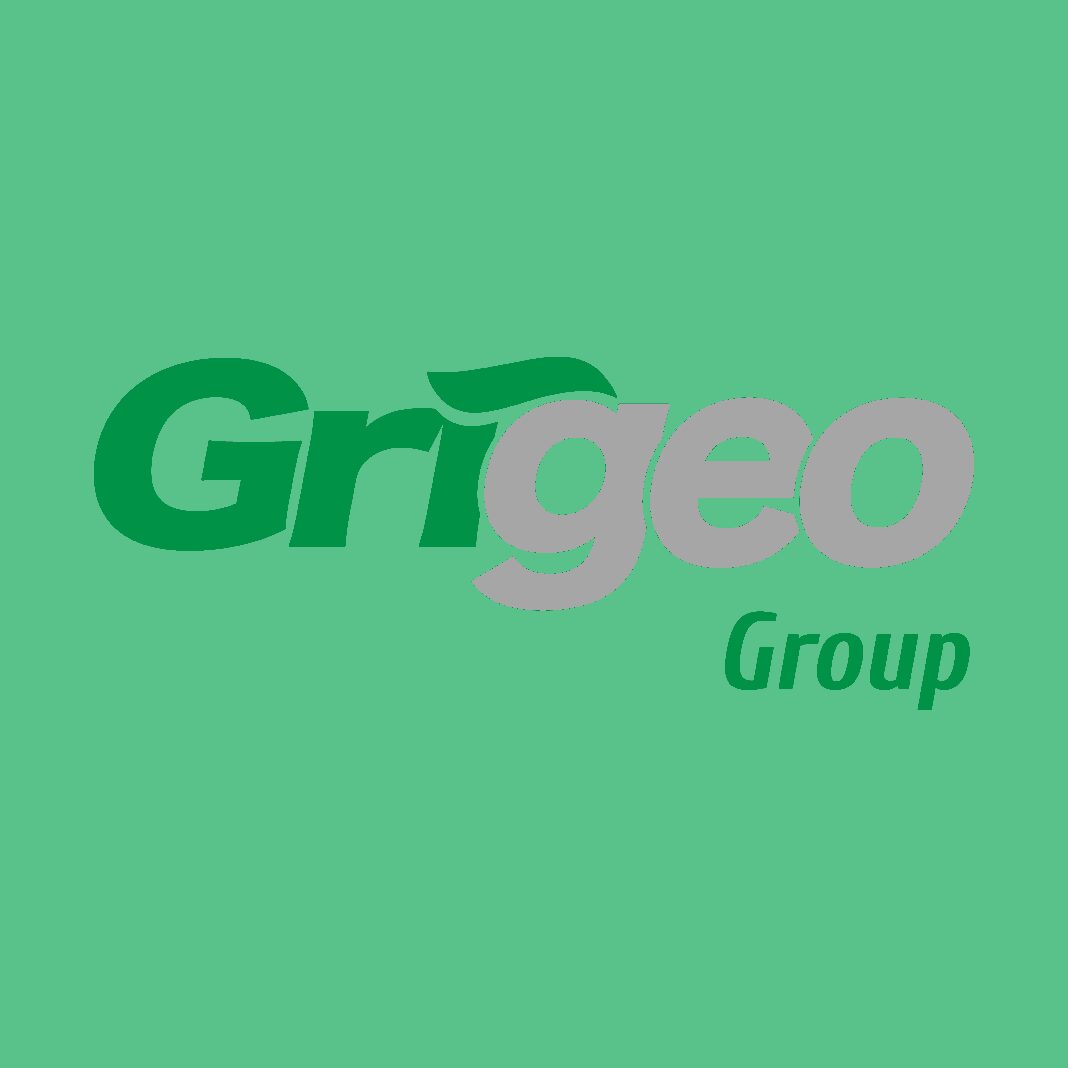 Interim consolidated financial statement of Grigeo Group AB covering 6 months of 2025