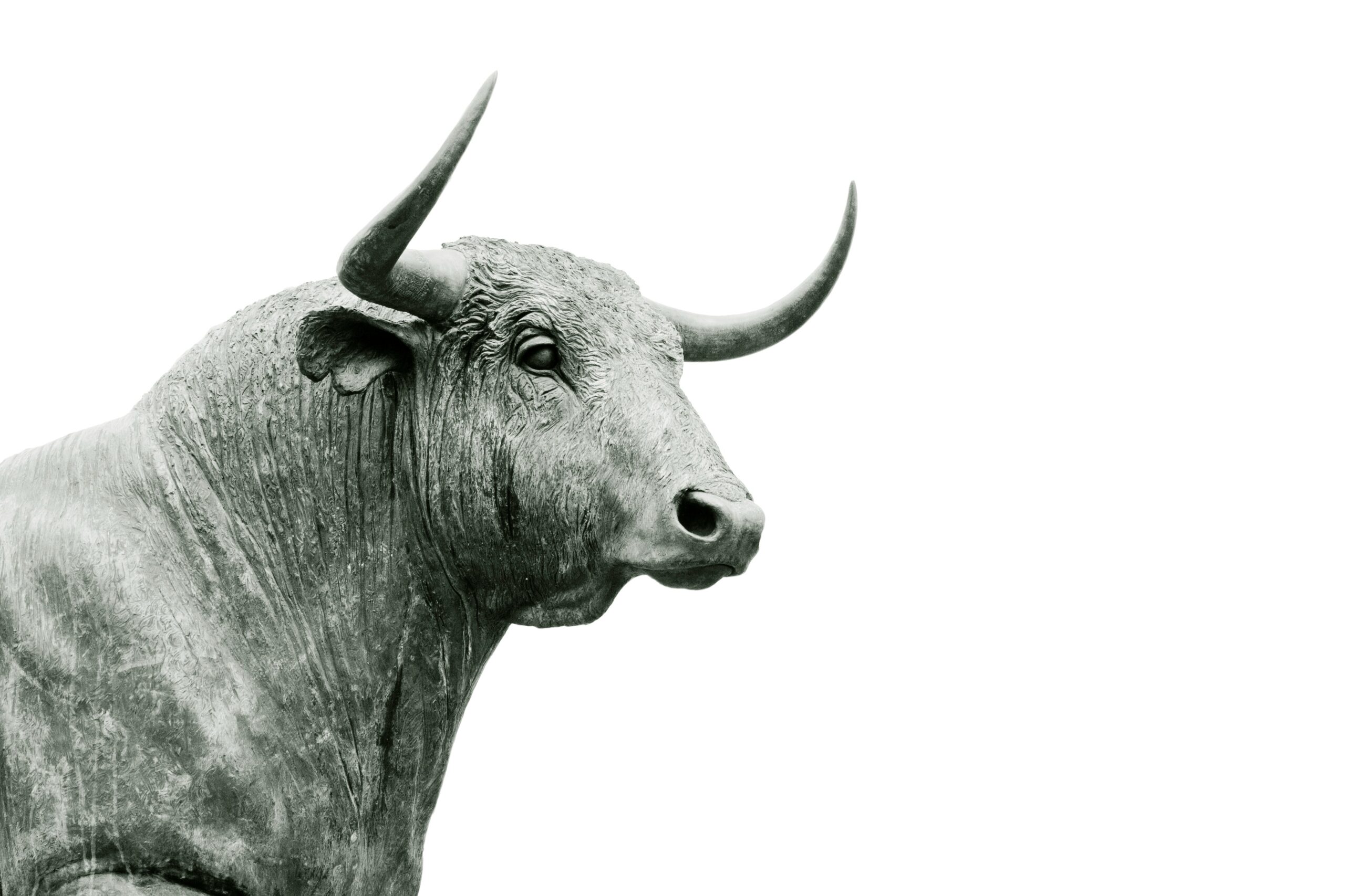 Stocks to Watch: Hemostemix, SoFi, Palantir, and Opendoor ($OPEN)
