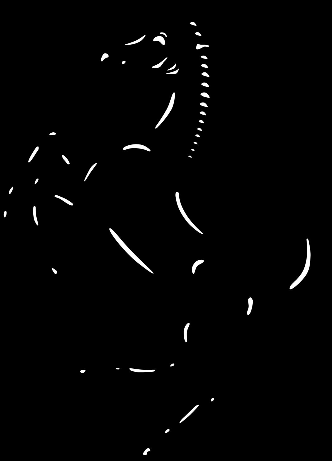 FERRARI CAPITAL MARKETS DAY 2030 STRATEGIC PLAN