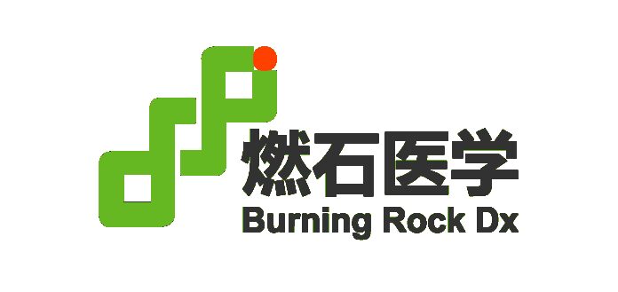burning-rock-reports-third-quarter-2025-financial-results