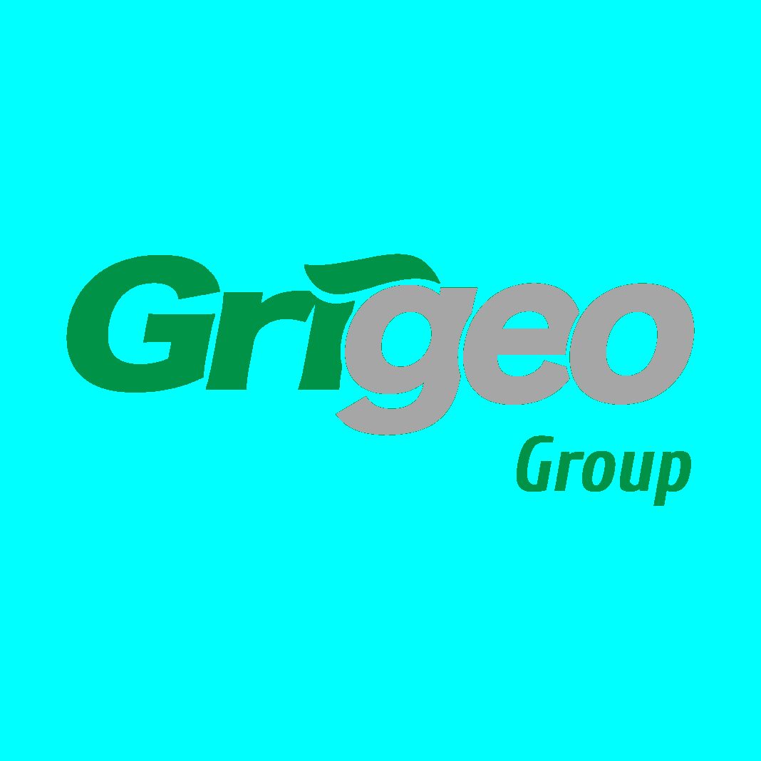 Interim consolidated financial statement of Grigeo Group AB covering 9 months of 2025