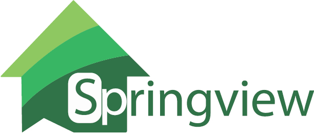 Springview Holdings Ltd Initiates Appeal Following Nasdaq Delisting Notice